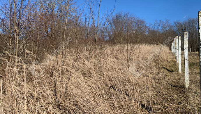 6. kép | Eladó Nyaraló, Homokkomárom (#179898)