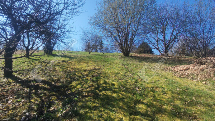 20. kép | Eladó Telek, Nagykanizsa (#180397)