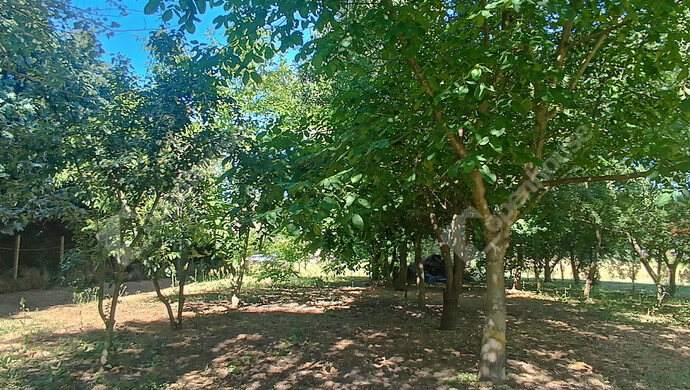 10. kép | Eladó Családi ház, Somogybabod (#177793)