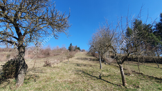 80. kép | Eladó Nyaraló, Homokkomárom (#180173)