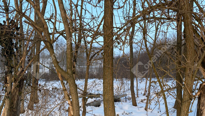 15. kép | Eladó Telek, Öreglak (#179289)