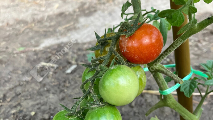 19. kép | Eladó Zárt kert, Bőny (#180133)