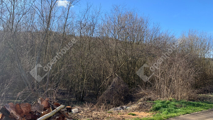 80. kép | Eladó Nyaraló, Homokkomárom (#179898)