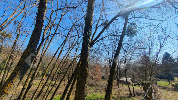 16. kép | Eladó Zárt kert, Homokkomárom (#180107)