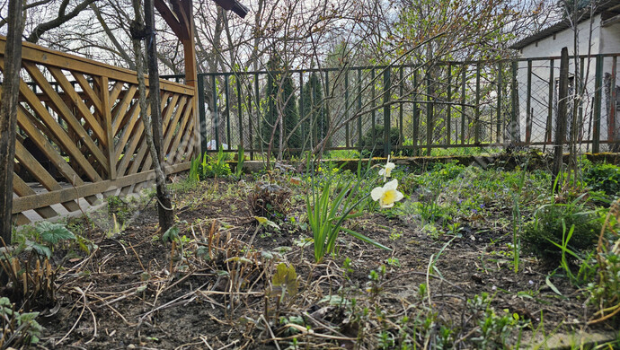 19. kép | Eladó Családi ház, Szőlősgyörök (#179158)