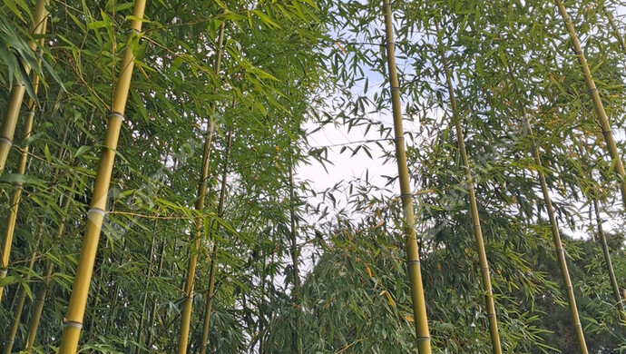 2. kép | Eladó Telek, Mocsa (#178255)