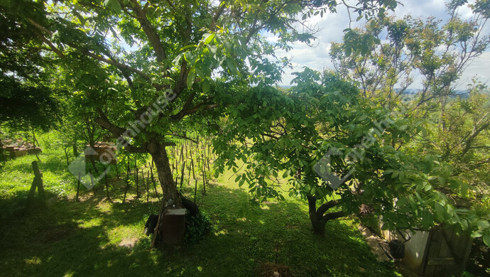 45. kép | Eladó Nyaraló, Nagykanizsa (#172030)