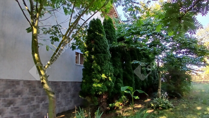 32. kép | Eladó Családi ház, Gutorfölde (#176008)