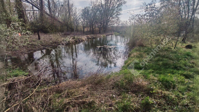 47. kép | Eladó Családi ház, Molnári (#180815)