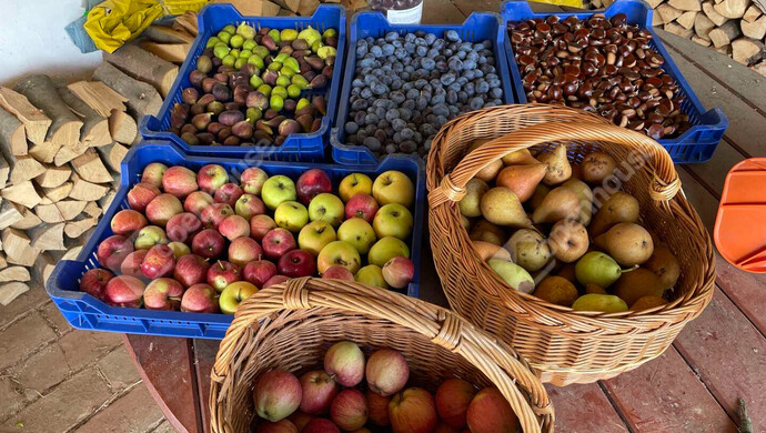 66. kép | Eladó Nyaraló, Nagykanizsa (#177970)