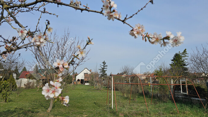13. kép | Eladó Családi ház, Balatonlelle (#179608)