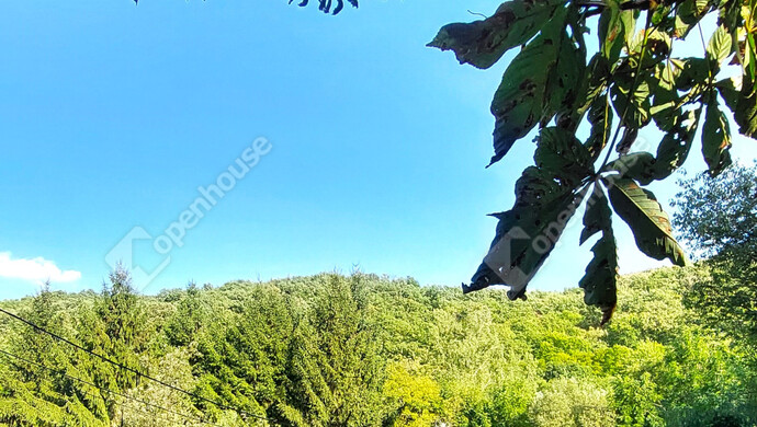 8. kép | Eladó Családi ház, Kismaros (#176738)