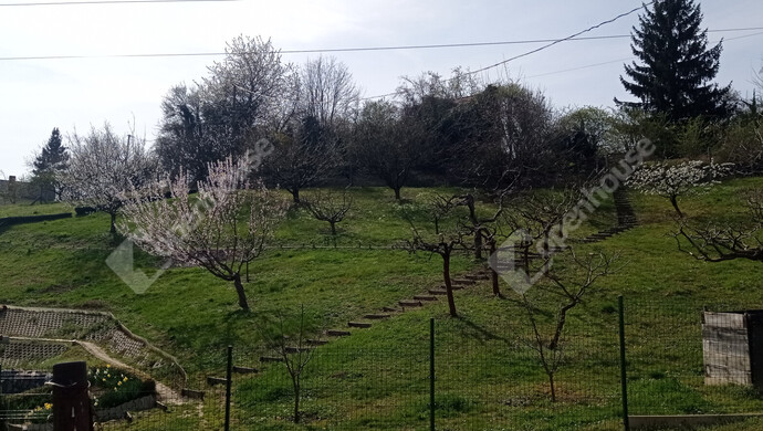 0. kép | Eladó Telek, Zalaegerszeg (#180716)