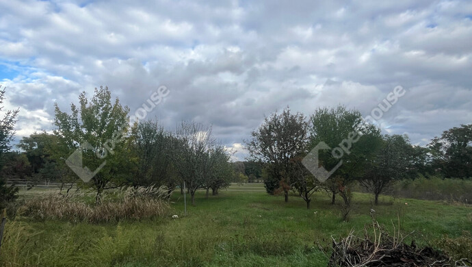 28. kép | Eladó Családi ház, Somogyaszaló (#177533)