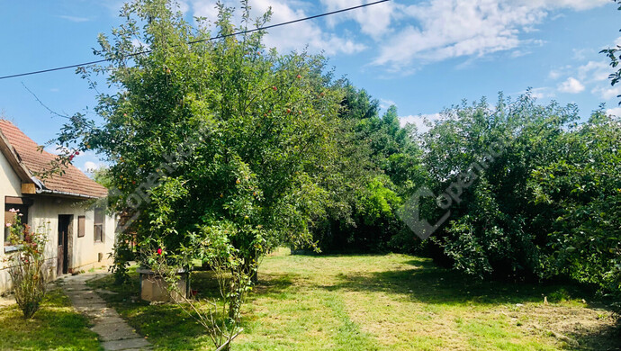 7. kép | Eladó Családi ház, Iklódbördőce (#176376)