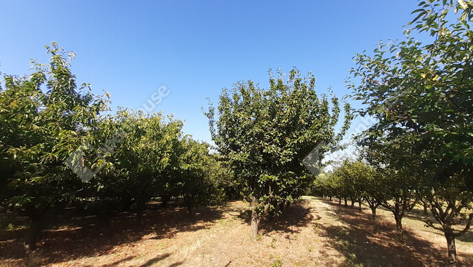 23. kép | Eladó Nyaraló, Sand (#175737)