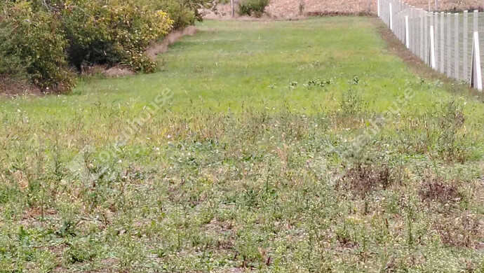 4. kép | Székesfehérvár eladó építési telek | Eladó Telek, Székesfehérvár (#177541)