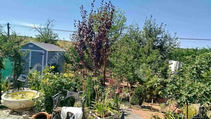 19. kép | Eladó Ikerház, Pécel (#177973)