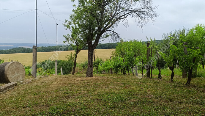 16. kép | Eladó Családi ház, Nagykanizsa (#175746)