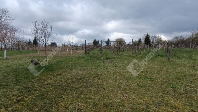 21. kép | Eladó Családi ház, Nagykanizsa (#180983)