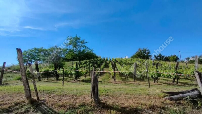 5. kép | Eladó Telek, Kőröshegy (#176631)