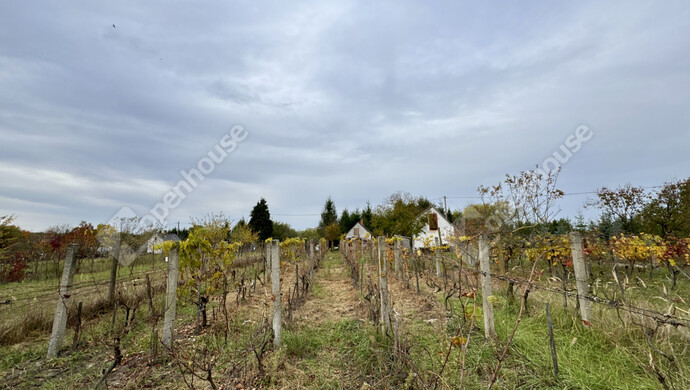 5. kép | Eladó Családi ház, Belezna (#178231)