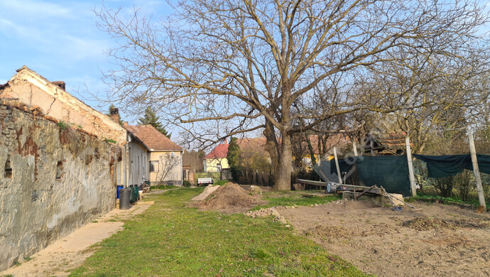 4. kép | Eladó Családi ház, Mesteri (#180364)