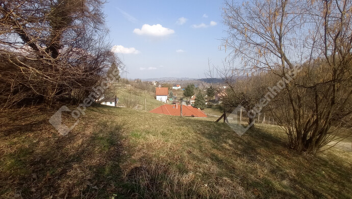 10. kép | Eladó Zárt kert, Zalaegerszeg (#180617)