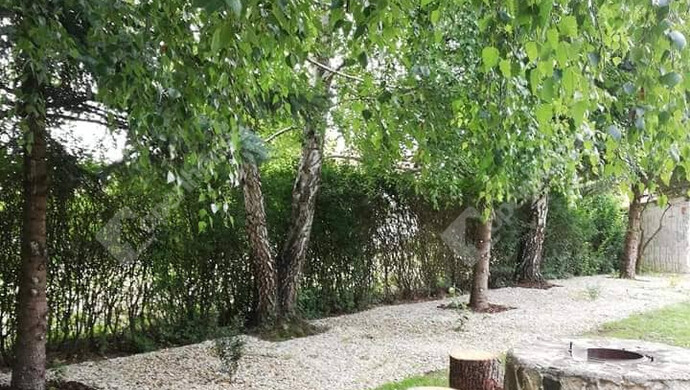 23. kép | Eladó Családi ház, Bodrogkeresztúr (#176211)