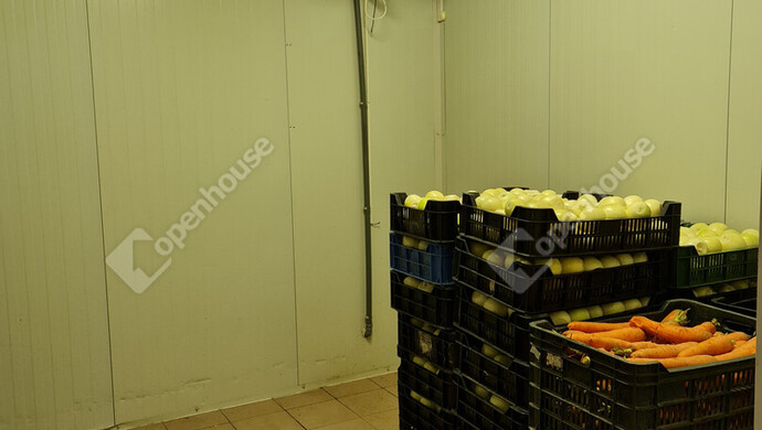 5. kép | Eladó Ipari ingatlan, Makó (#178828)