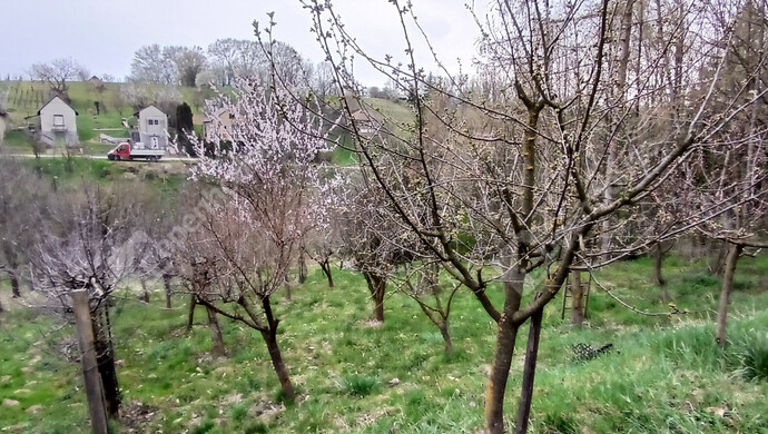 16. kép | Eladó Zárt kert, Vasvár (#180645)