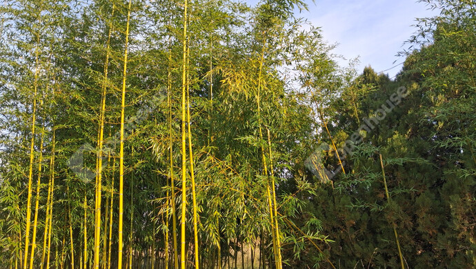 21. kép | Eladó Telek, Mocsa (#178255)