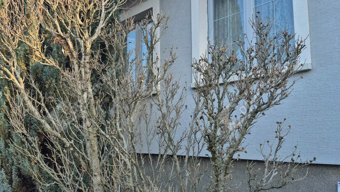 2. kép | Kiadó Családi ház, Biatorbágy (#180162)