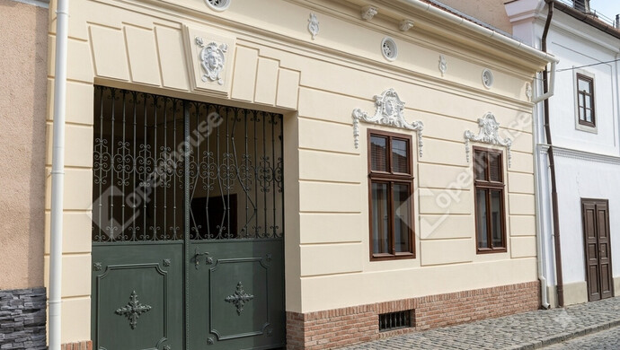 4. kép | Látványterv | Eladó Családi ház, Sárospatak (#176883)