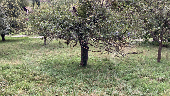 9. kép | Eladó Zárt kert,  (#177177)