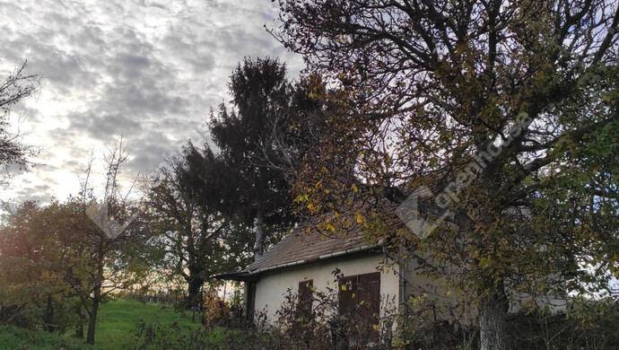 2. kép | Eladó Családi ház, Kéthely (#177851)