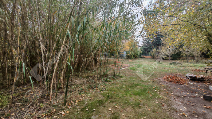 19. kép | Eladó Családi ház, Zamárdi (#178076)