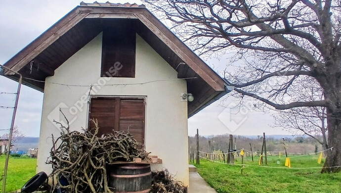 28. kép | Eladó Zárt kert, Nagypáli (#181046)