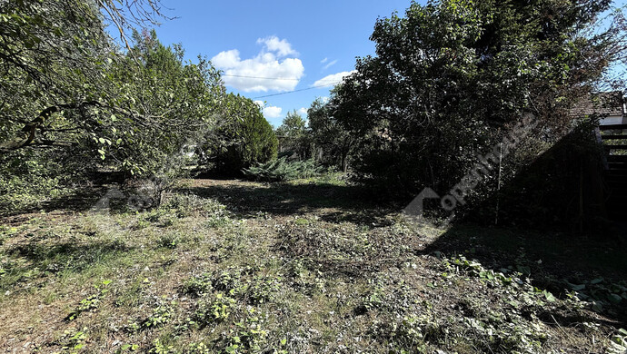 13. kép | Eladó Családi ház, Monor (#177138)