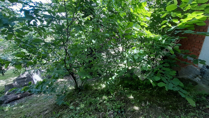 57. kép | Eladó Nyaraló, Nagykanizsa (#175145)