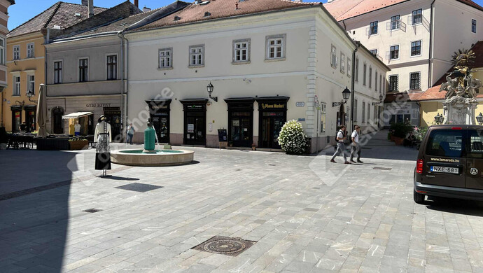 4. kép | Eladó Üzlethelyiség, Győr (#176315)