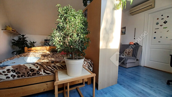 9. kép | Eladó Családi ház, Debrecen (#177067)