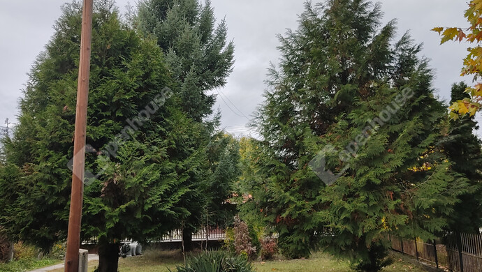 22. kép | Eladó Családi ház, Balatonfenyves (#178128)