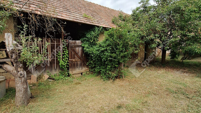 12. kép | Eladó Családi ház, Ordacsehi (#176728)