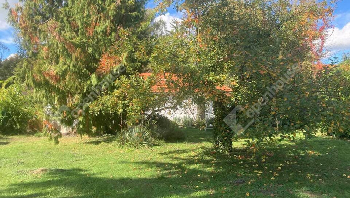 8. kép | Eladó Nyaraló, Fonyód (#176599)