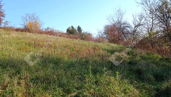 2. kép | Eladó Zárt kert, Zalaegerszeg (#69556)