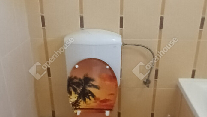 7. kép | Kiadó Családi ház, Mosonmagyaróvár (#180625)