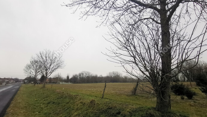 2. kép | Eladó Mezőgazdasági, Sármellék (#175513)