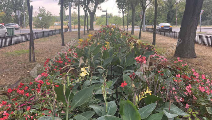 20. kép | Eladó Társasházi lakás, Budapest XXIII. Ker. (#176973)