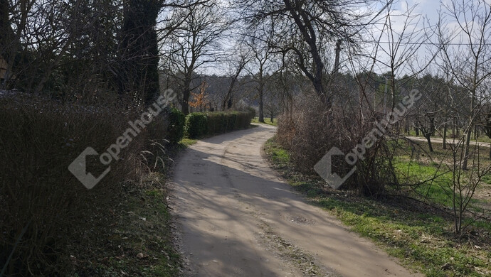 16. kép | Eladó Családi ház, Belezna (#180294)